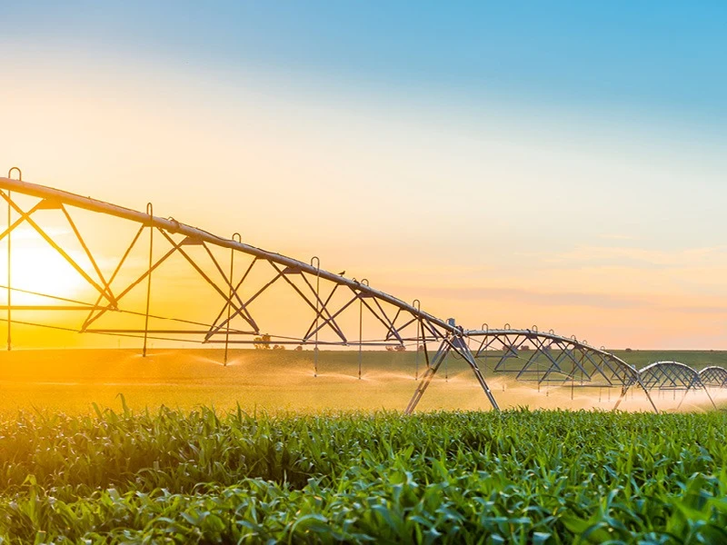 Rainer Irrigation
